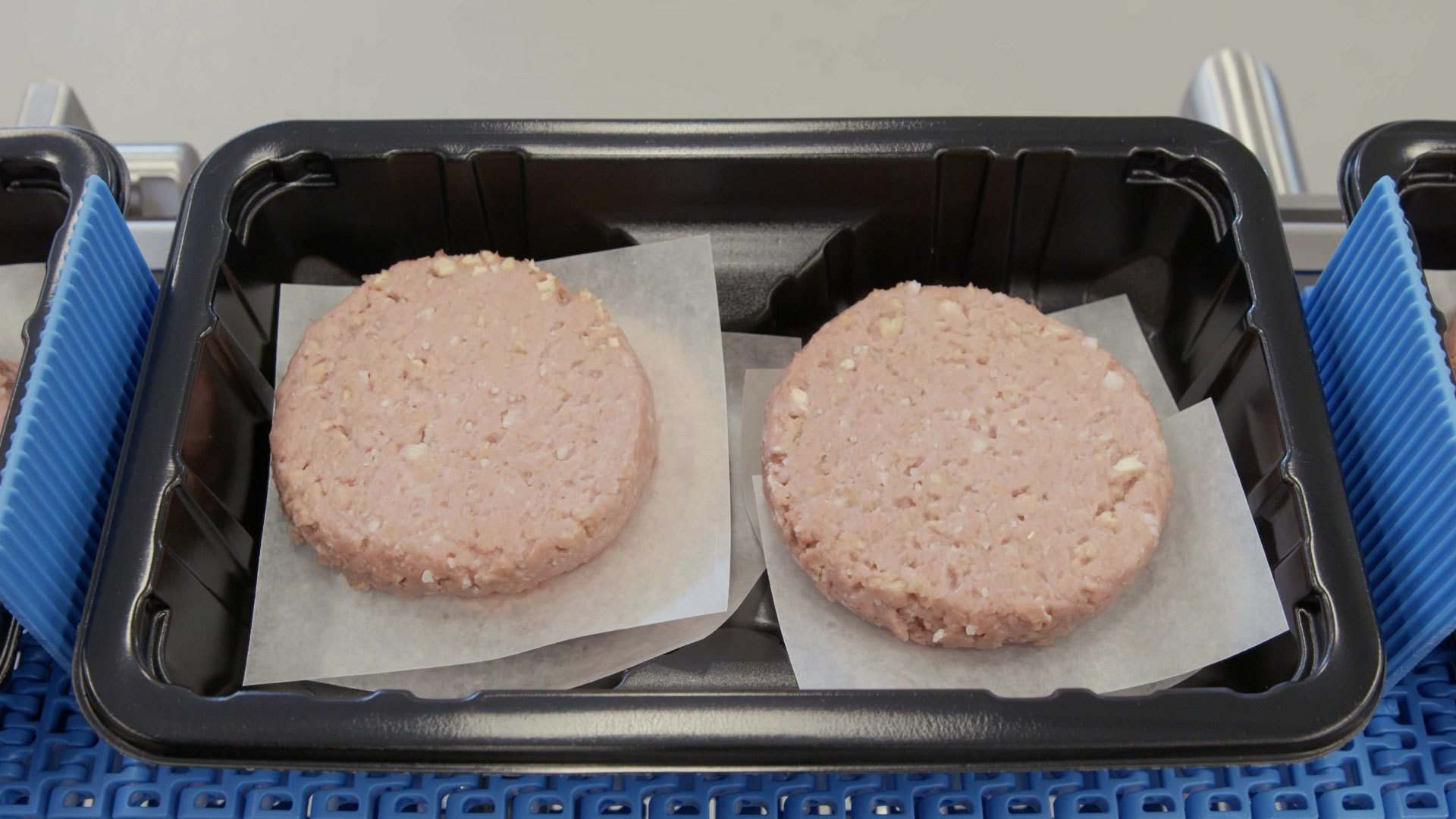 MBC-1 with Plant-based Protein